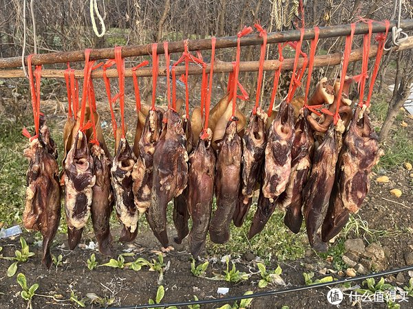 咸肉飘香新春到 冬日里的年味与乡愁